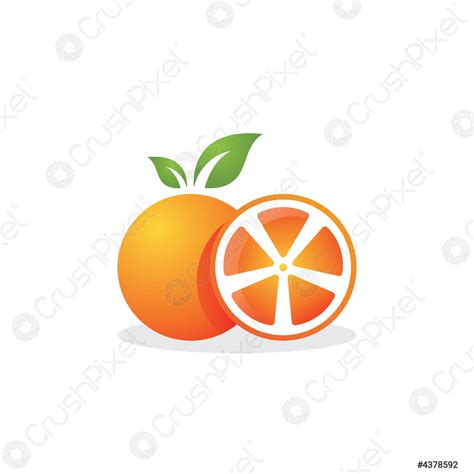 Orange logo design Vector icon illustration - stock vector 4378592 | Crushpixel