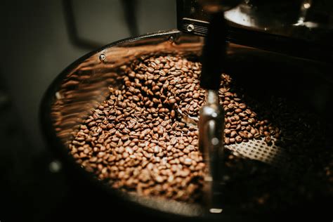 Shallow Focus Photo of Coffee Beans · Free Stock Photo