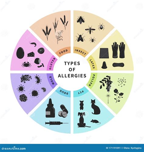 Types of Allergies Infographics Design Illustration. Animal Hair, Latex, Drugs, Insect, Food ...