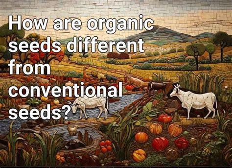 How are organic seeds different from conventional seeds? – Agriculture.Gov.Capital