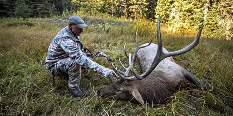 Top 5 Elk Hunting Tips | Elk101.com | Eat. Sleep. HUNT ELK!