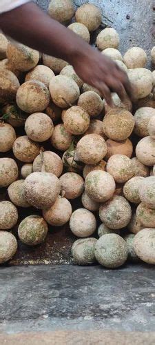 Bel Fruit, A Grade at Rs 130/kg in Mumbai | ID: 26517672673