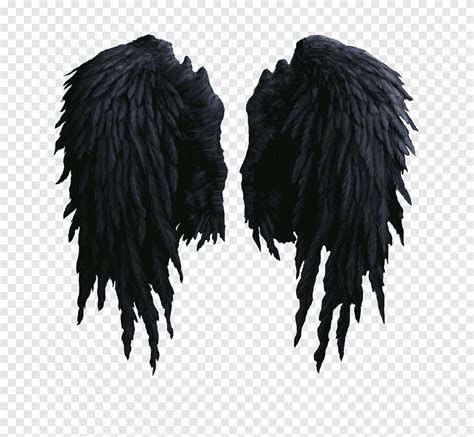 Ailes d'ange noir, costume d'ailes noires, png | PNGEgg