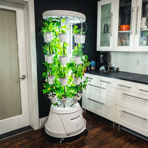 Six indoor hydroponic gardens for growing your own fruits and veggies