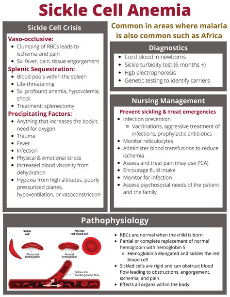 Sickle Cell Anemia - Sickle Cell Anemia Pathophysiology Common in areas ...