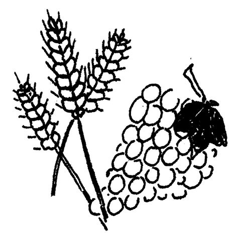 Free Harvest Cliparts, Download Free Harvest Cliparts png images, Free ClipArts on Clipart Library