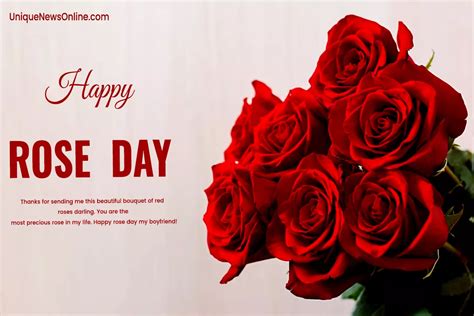 Happy Rose Day 2024 Wishes, Images, Messages, Greetings, Quotes ...