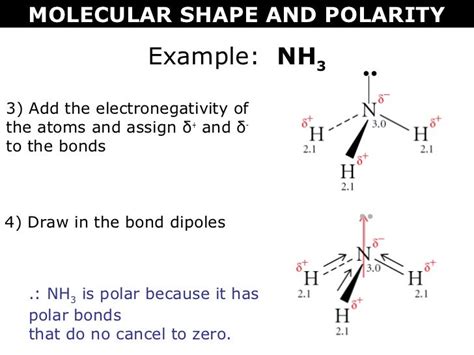 Tang 07 polarity