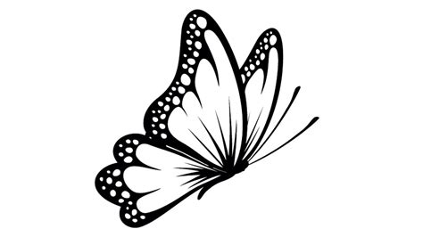 Butterfly Side Angle Art - YouTube