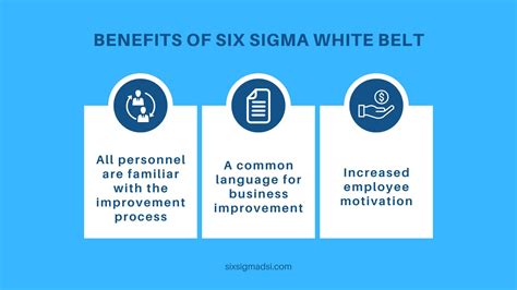 What is a lean Six Sigma White Belt?