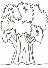 Free & Easy To Print Tree Coloring Pages  Tulamama sketch template