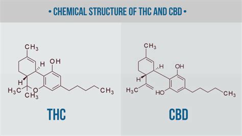 Decarboxylation: How to Decarb Weed The Right Way (Temperature Chart)