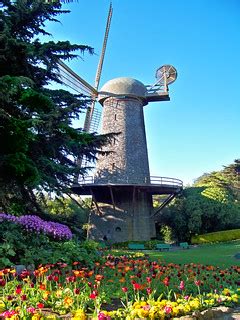 Golden Gate Park Windmill with tulips | Queen Wilhelmina Tul… | Flickr