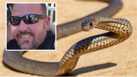 Tribute for Jerromy Brookes after suspected fatal eastern brown snake bite | The Weekly Times