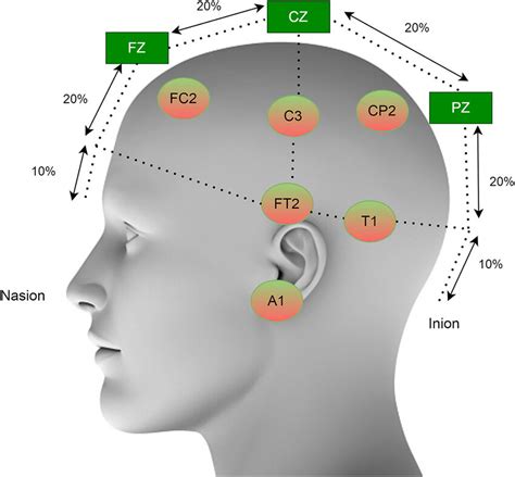 Electrode placement of the standard 10-20 EEG system. | Download Scientific Diagram