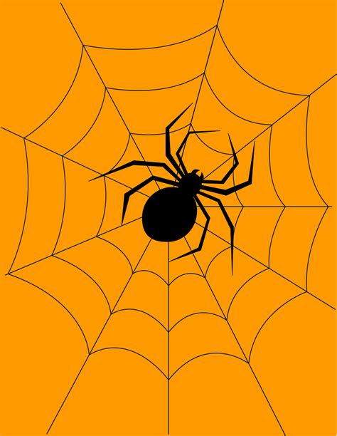 Download Halloween, Spider, Cobweb. Royalty-Free Vector Graphic - Pixabay