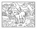 Premium Vector  Coloring Book Buffalo In The African savannah sketch template