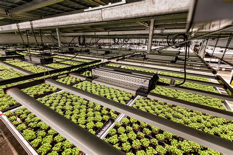 Vertical Farming's Soli Organic Says Farming Headed Indoors - Bloomberg