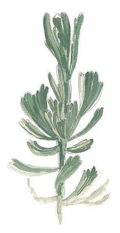 Image result for sagebrush illustration | Watercolor plants, Sage tattoo, Art inspiration