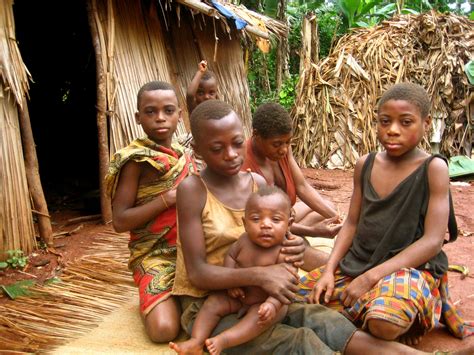 West Africa Baka pygmy growth rate study shows convergent evolution and ...