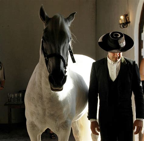 Free Images : man, artist, stallion, hat, black, portugal, white horse, horse like mammal ...