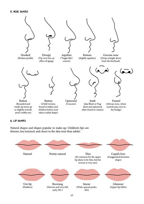 nose and lip shapes | Lip shapes, Shape chart, Nose shapes