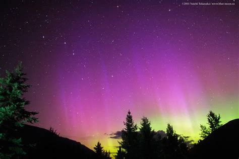 Spectacular Skywatcher Photo Catches Deep Purple Northern Lights Show ...