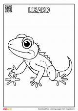Reptiles Coloring Pages For Kids  Kidpid sketch template