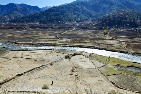 Agriculture Fund Transforms Hunger Hit Villages in Nepal - ActionAid USA