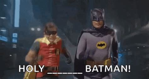 Holy Batman Robin Quotes