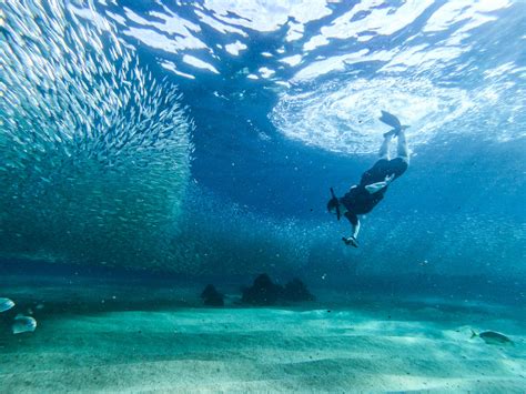 Guided snorkel Tour Cabo San Lucas | Adventures in Baja