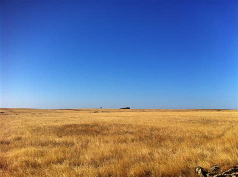 meadow, Alentejo, 2K, agriculture, nature, day, Portugal, desertification, landscape, no People ...