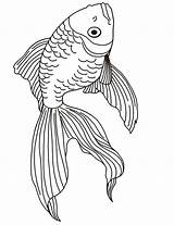 Goldfish Coloring Pages sketch template