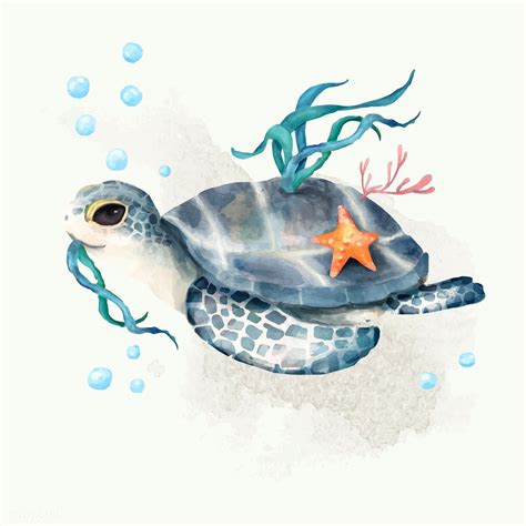 Illustration of turtle | premium image by rawpixel.com / busbus | Meeresschildkrötenkunst ...