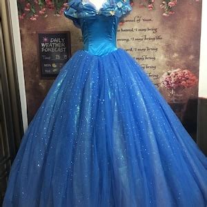 Blue Cinderella Costume Cinderella Dress Cosplay Costume - Etsy