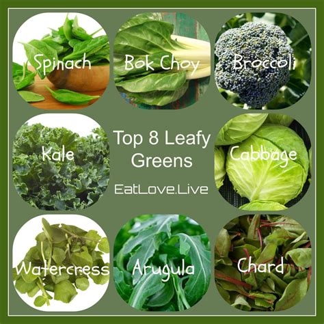 Discover The Amazing Benefits of Leafy Greens - EatLove.Live