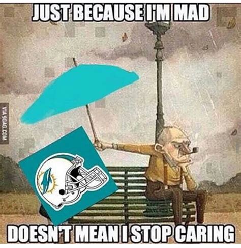 Me with the Dolphins right now. | Miami dolphins funny, Nfl miami ...