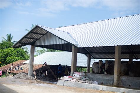 - Pondok Pesantren Salafi Terpadu Darussyifa AL-Fithroh