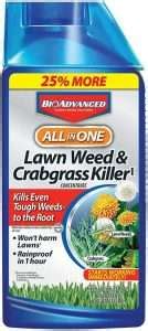 Best Broadleaf Weed Killer For Lawns: 9 Highly Effective Options | 2024