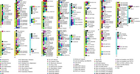 The reference genotype–phenotype map A reference genotype–phenotype map ...