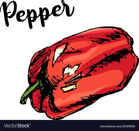 Red pepper graphica Royalty Free Vector Image - VectorStock