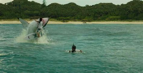 Here's how they create the shark in 'The Shallows' - Film Geek Guy