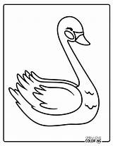 Swan Coloring Pages Free PDF Printables  Simply Love sketch template