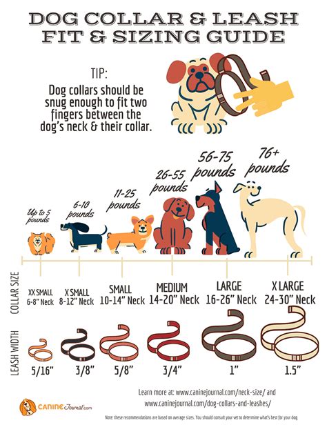 What's Your Dog Breed's Average Neck Size And Weight? | Dog collars ...