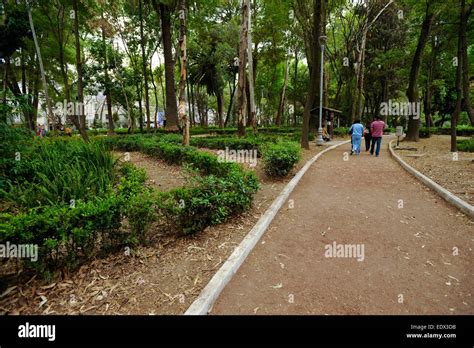 Parque Mexico (Mexico Park) in the Condesa neighborhood of Mexico City, Mexico Stock Photo - Alamy