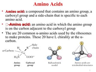 Amino Acid: Benefits Food Sources, 55% OFF | www.elevate.in