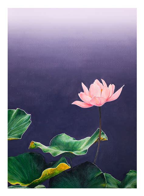 Waterlily : r/Watercolor