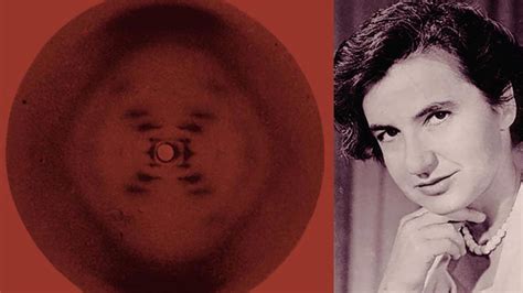 Rosalind Franklin: The Scientist behind 2 Nobel Prizes - The Working Gal