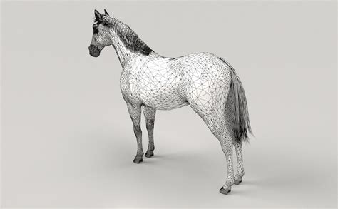 ArtStation - Gray Horse | Resources