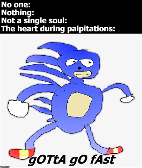 Sonic "Gotta Go Fast" Meme - Imgflip